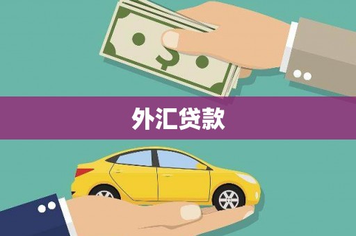海陵外汇贷款