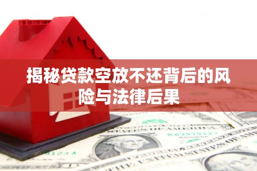 徽县揭秘贷款空放不还背后的风险与法律后果
