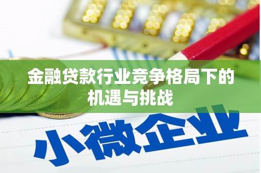 永州金融贷款行业竞争格局下的机遇与挑战