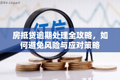 舞阳房抵贷逾期处理全攻略，如何避免风险与应对策略