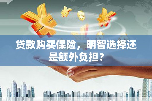 离石贷款购买保险，明智选择还是额外负担？