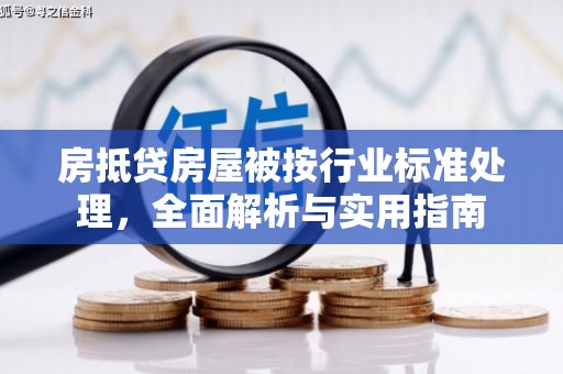 海陵房抵贷房屋被按行业标准处理，全面解析与实用指南