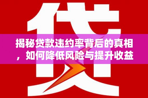 西秀揭秘贷款违约率背后的真相，如何降低风险与提升收益