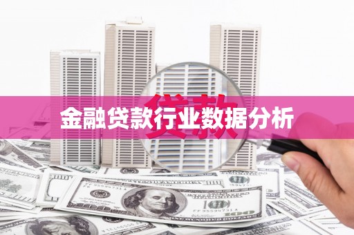 中卫金融贷款行业数据分析