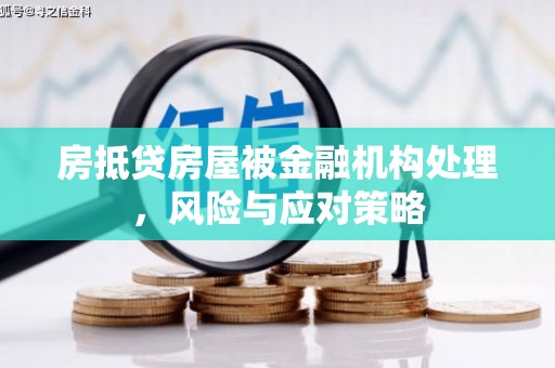 中原房抵贷房屋被金融机构处理，风险与应对策略