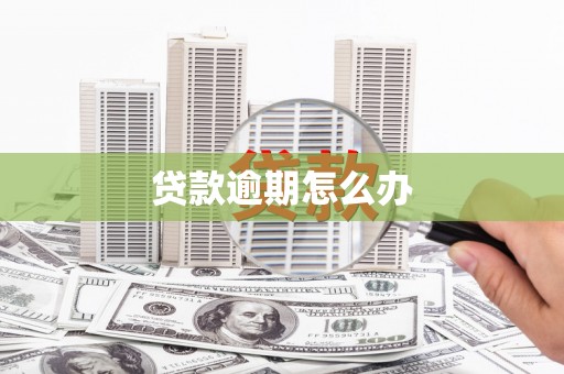 城东贷款逾期怎么办