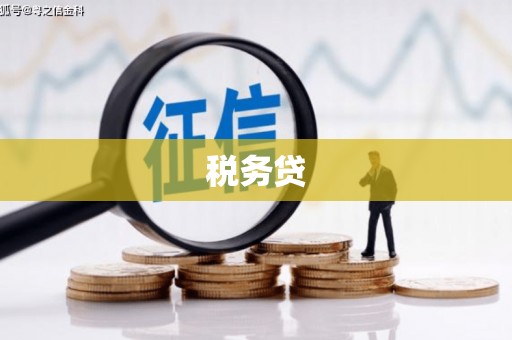 石龙税务贷