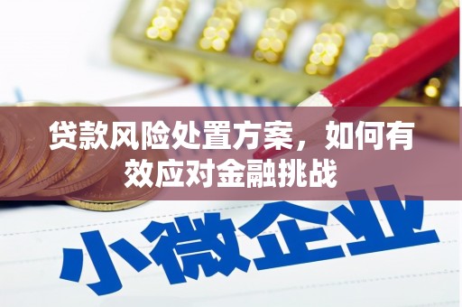 长宁贷款风险处置方案，如何有效应对金融挑战
