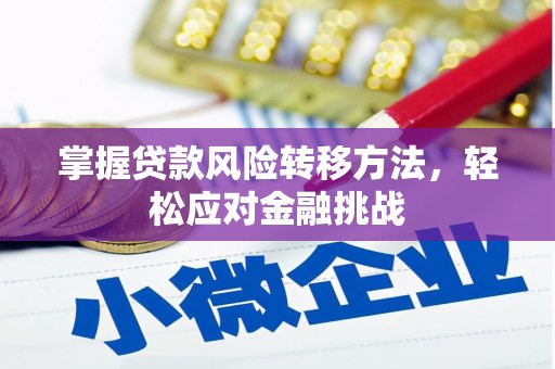 昌都掌握贷款风险转移方法，轻松应对金融挑战