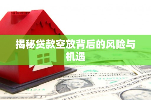 荆门揭秘贷款空放背后的风险与机遇