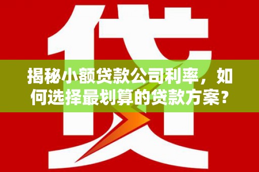 舟山揭秘小额贷款公司利率，如何选择最划算的贷款方案？