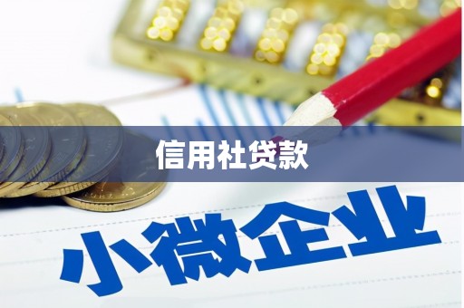 滨州信用社贷款
