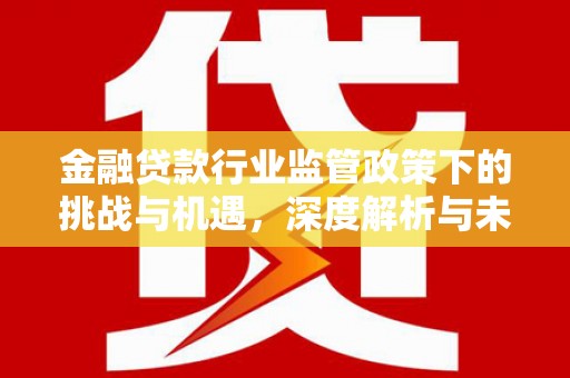 石狮金融贷款行业监管政策下的挑战与机遇，深度解析与未来展望