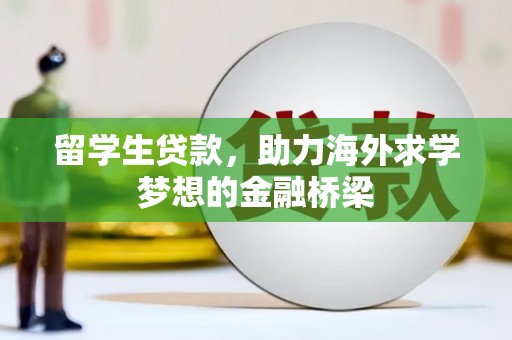 卢龙留学生贷款，助力海外求学梦想的金融桥梁