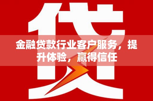 卢龙金融贷款行业客户服务，提升体验，赢得信任