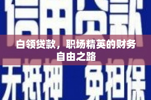 梁子湖白领贷款，职场精英的财务自由之路
