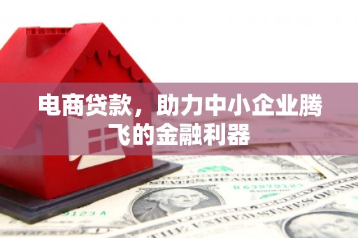 无棣电商贷款，助力中小企业腾飞的金融利器