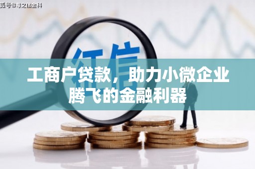 巍山工商户贷款，助力小微企业腾飞的金融利器