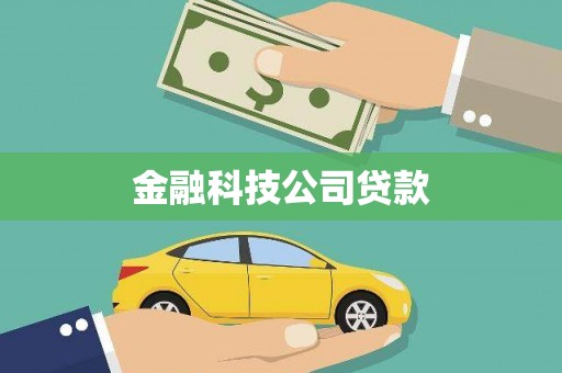 枝江金融科技公司贷款