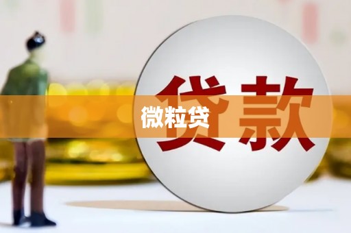 尖扎微粒贷