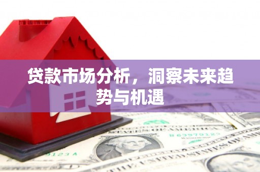射洪贷款市场分析，洞察未来趋势与机遇