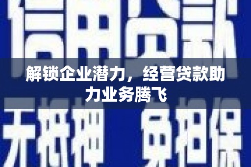 沙田解锁企业潜力，经营贷款助力业务腾飞