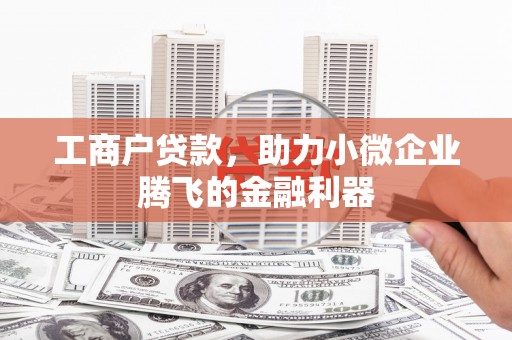 海港工商户贷款，助力小微企业腾飞的金融利器