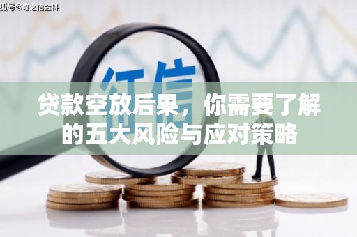 兴宁贷款空放后果，你需要了解的五大风险与应对策略