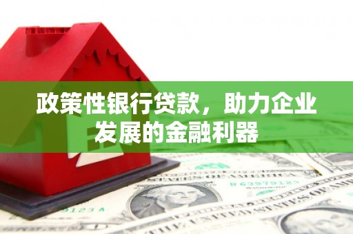 北市政策性银行贷款，助力企业发展的金融利器