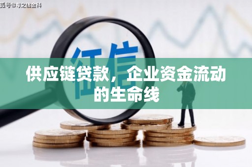 周至供应链贷款，企业资金流动的生命线