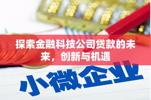 周至探索金融科技公司贷款的未来，创新与机遇