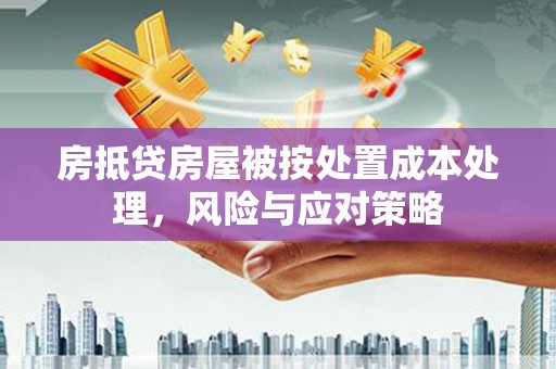 博尔塔拉房抵贷房屋被按处置成本处理，风险与应对策略