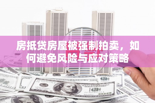 新余房抵贷房屋被强制拍卖，如何避免风险与应对策略