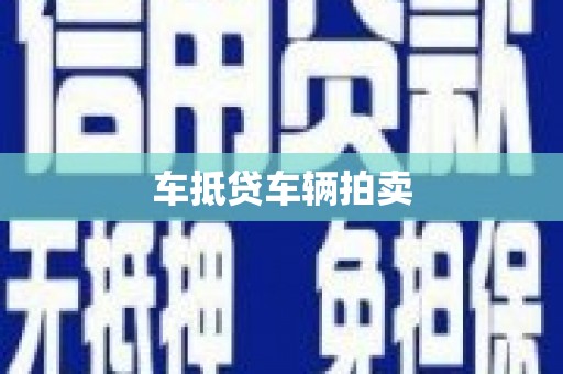 成功车抵贷车辆拍卖