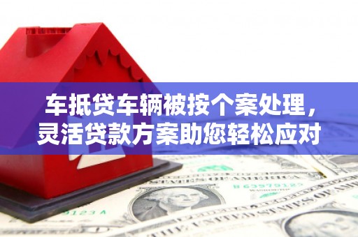 文登车抵贷车辆被按个案处理，灵活贷款方案助您轻松应对资金需求