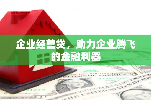 鲤城企业经营贷，助力企业腾飞的金融利器