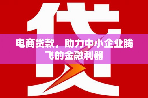 阜康电商贷款，助力中小企业腾飞的金融利器