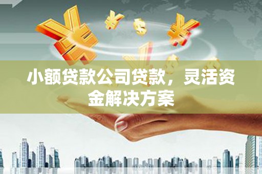 交城小额贷款公司贷款，灵活资金解决方案