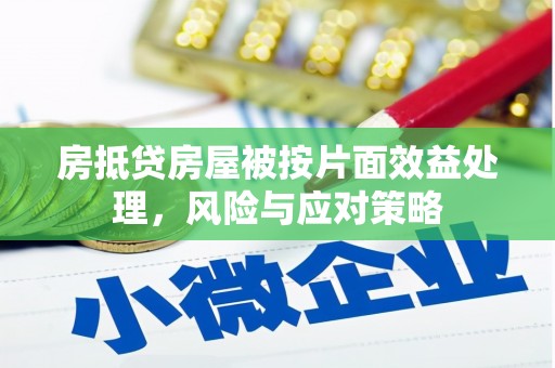内黄房抵贷房屋被按片面效益处理，风险与应对策略