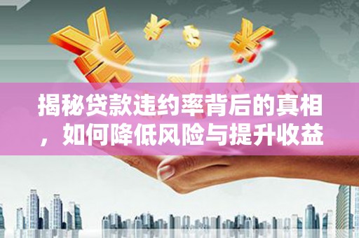 虎林揭秘贷款违约率背后的真相，如何降低风险与提升收益