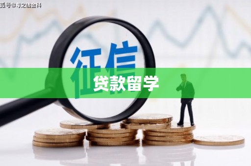 善化贷款留学