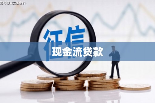 善化现金流贷款