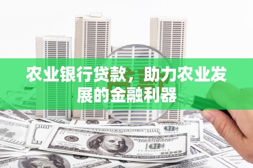 宜昌农业银行贷款，助力农业发展的金融利器