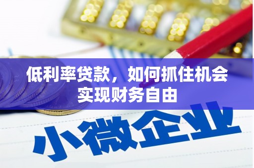 浪卡子低利率贷款，如何抓住机会实现财务自由
