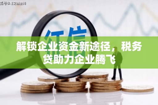 连云解锁企业资金新途径，税务贷助力企业腾飞
