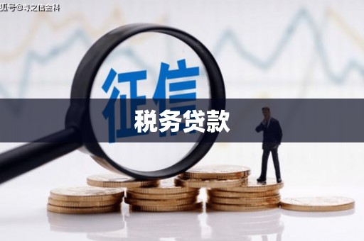 黄石港税务贷款
