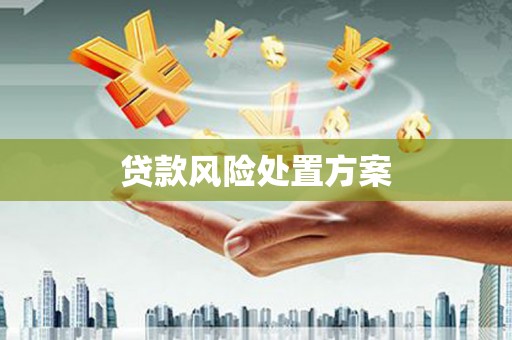 吉林贷款风险处置方案