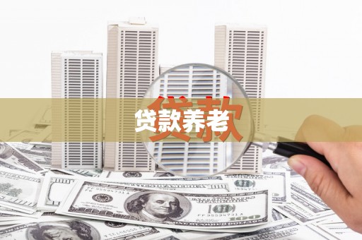 聂荣贷款养老