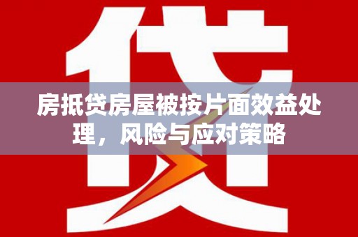 大寮房抵贷房屋被按片面效益处理，风险与应对策略