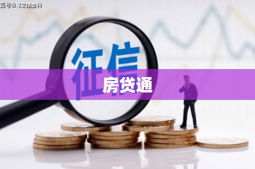 浪卡子房贷通